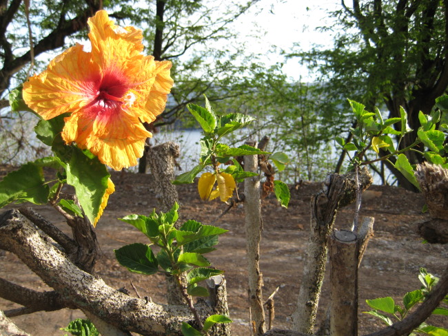 Thumbnail Photo